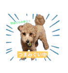 どらみちゃんの日常 vol.1（個別スタンプ：3）
