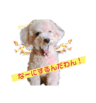 どらみちゃんの日常 vol.1（個別スタンプ：4）