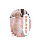 どらみちゃんの日常 vol.1（個別スタンプ：5）