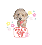 どらみちゃんの日常 vol.1（個別スタンプ：6）