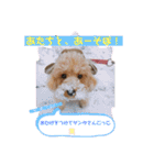 どらみちゃんの日常 vol.1（個別スタンプ：7）