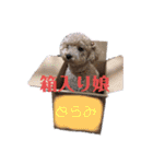 どらみちゃんの日常 vol.1（個別スタンプ：14）