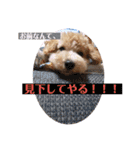 どらみちゃんの日常 vol.1（個別スタンプ：17）