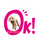 どらみちゃんの日常 vol.1（個別スタンプ：18）