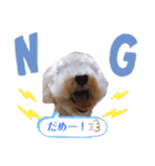どらみちゃんの日常 vol.1（個別スタンプ：20）