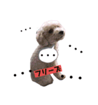 どらみちゃんの日常 vol.1（個別スタンプ：21）