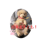 どらみちゃんの日常 vol.1（個別スタンプ：22）