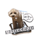 どらみちゃんの日常 vol.1（個別スタンプ：26）
