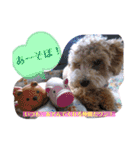 どらみちゃんの日常 vol.1（個別スタンプ：35）