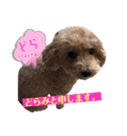 どらみちゃんの日常 vol.1（個別スタンプ：36）