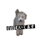 どらみちゃんの日常 vol.1（個別スタンプ：38）