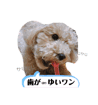 どらみちゃんの日常 vol.1（個別スタンプ：40）