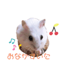 しらたまとみたらし。（個別スタンプ：5）