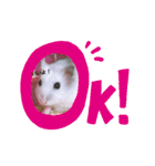 しらたまとみたらし。（個別スタンプ：7）