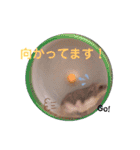 しらたまとみたらし。（個別スタンプ：8）