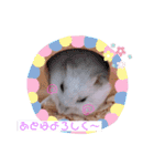 しらたまとみたらし。（個別スタンプ：9）