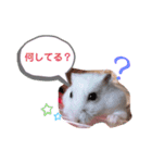 しらたまとみたらし。（個別スタンプ：11）