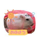しらたまとみたらし。（個別スタンプ：16）