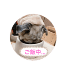 〜メルちゃんの日常 3 〜（個別スタンプ：2）