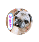 〜メルちゃんの日常 3 〜（個別スタンプ：3）
