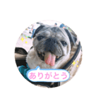 〜メルちゃんの日常 3 〜（個別スタンプ：8）