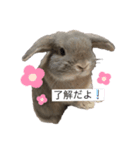 Maromarochan（個別スタンプ：6）