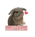 Maromarochan（個別スタンプ：8）