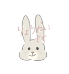 ネザーランドドワーフのこむぎくん（個別スタンプ：7）