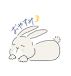 ネザーランドドワーフのこむぎくん（個別スタンプ：8）