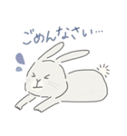 ネザーランドドワーフのこむぎくん（個別スタンプ：11）