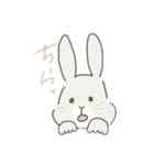 ネザーランドドワーフのこむぎくん（個別スタンプ：14）