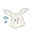 ネザーランドドワーフのこむぎくん（個別スタンプ：17）