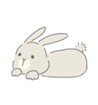 ネザーランドドワーフのこむぎくん（個別スタンプ：20）