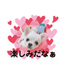 みるくぷりん（個別スタンプ：3）