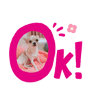 みるくぷりん（個別スタンプ：4）