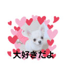 みるくぷりん（個別スタンプ：7）