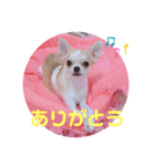 みるくぷりん（個別スタンプ：9）