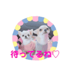 みるくぷりん（個別スタンプ：14）