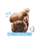 くぅそら（個別スタンプ：3）