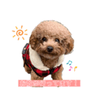 くぅそら（個別スタンプ：4）