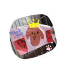 ちゃろ専用（個別スタンプ：5）