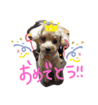 ちゃろ専用（個別スタンプ：8）