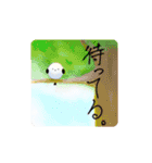 しろいとり？（個別スタンプ：12）