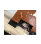 おまめさんの日常です（個別スタンプ：5）