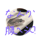 おまめさんの日常です（個別スタンプ：6）