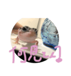 おまめさんの日常です（個別スタンプ：8）
