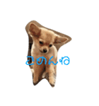 こてぴー日和（個別スタンプ：13）