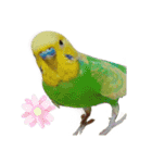 癒しの子♡（個別スタンプ：3）