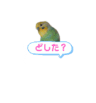 癒しの子♡（個別スタンプ：6）