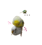 癒しの子♡（個別スタンプ：11）